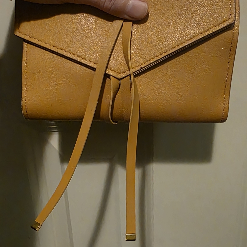 Elegant Tan Women's Clutch